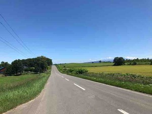 IMG_0774