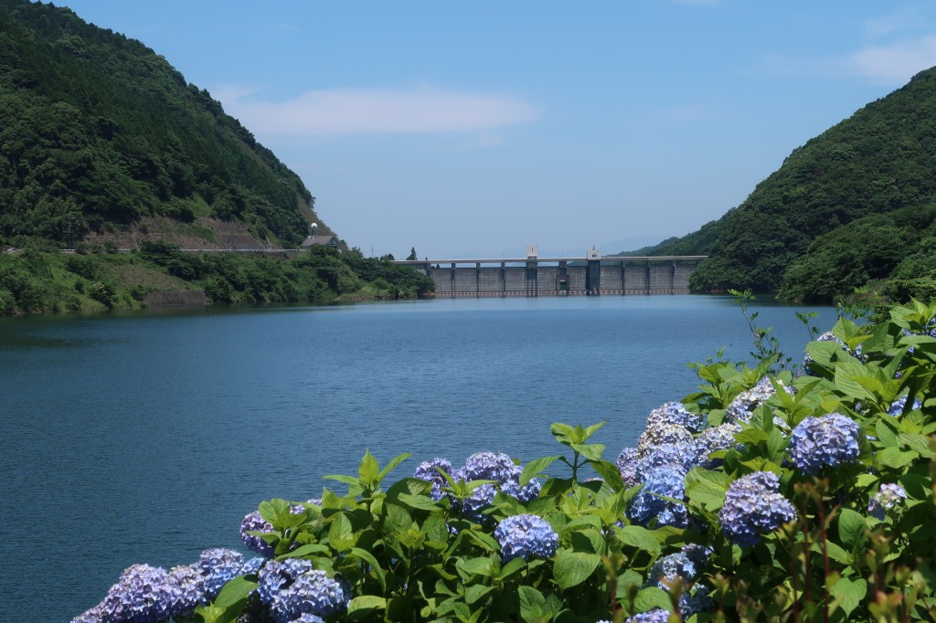 中木庭ダムあじさい園 佐賀県鹿島市 けいそんぶらぶら Doraemonhand C6