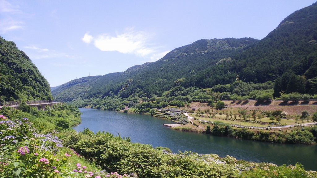 中木庭ダムあじさい園 佐賀県鹿島市 けいそんぶらぶら Doraemonhand C6