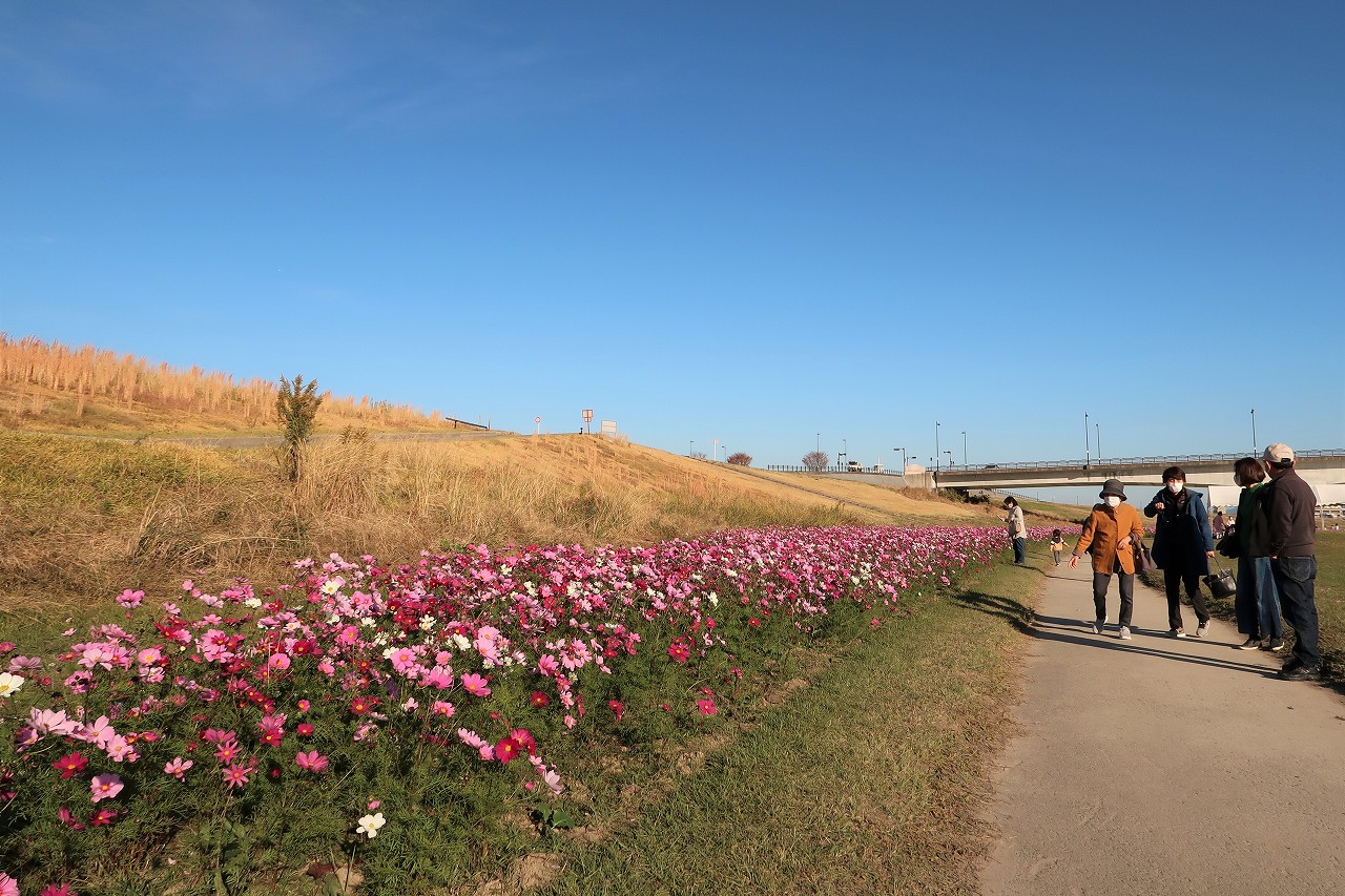リバーサイドパーク 福岡県久留米市小森野 けいそんぶらぶら Doraemonhand C6