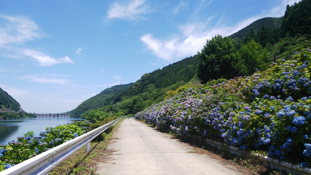 中木庭ダムあじさい園 佐賀県鹿島市 けいそんぶらぶら Doraemonhand C6