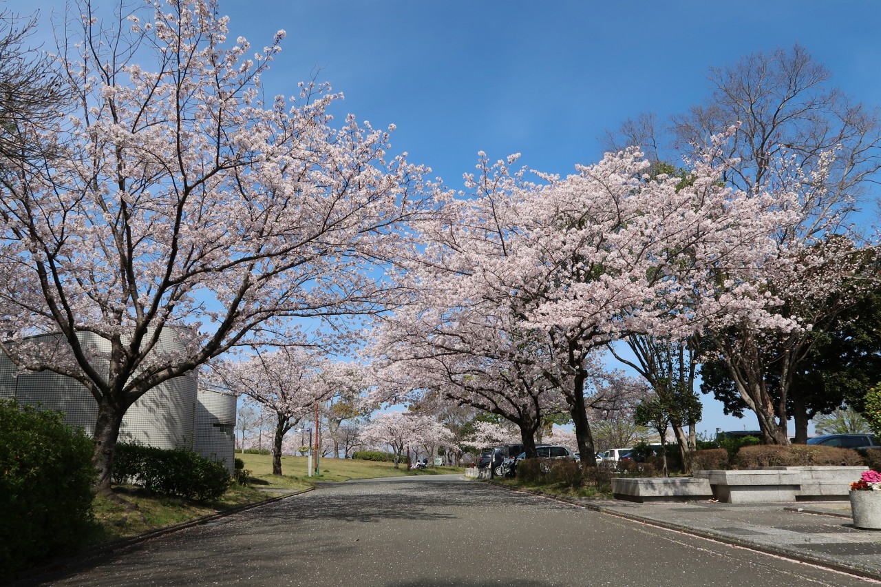 久留米百年公園 福岡県久留米市 けいそんぶらぶら Doraemonhand C6 久留米百年公園 福岡県久留米市 けいそんぶらぶら Doraemonhand C6