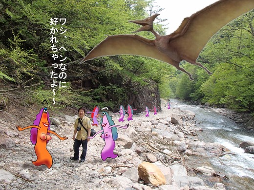 36栃木県奥鬼怒温泉 加仁湯7