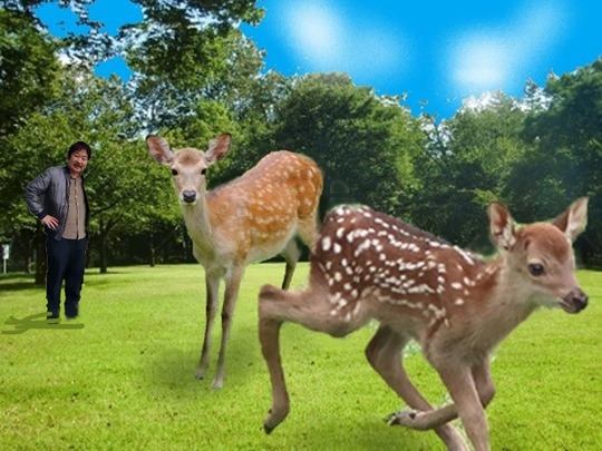 １鹿