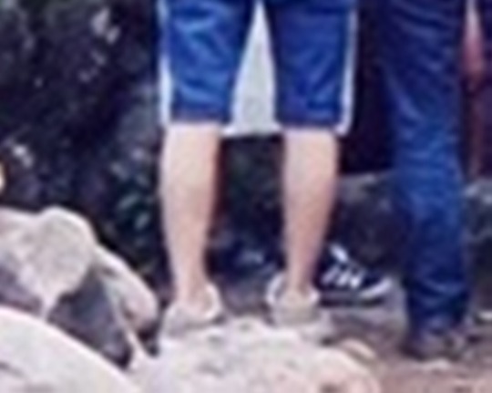 img964 - コピー (2)