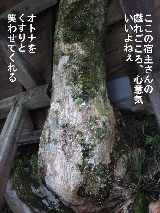 69、福島県二股温泉、柏旅館8