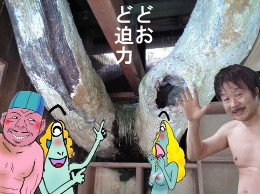 69、福島県二股温泉、柏旅館3