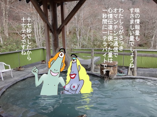 38、福島県幕川温泉、水戸屋旅館混浴5