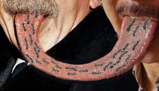 アインシュタイン７