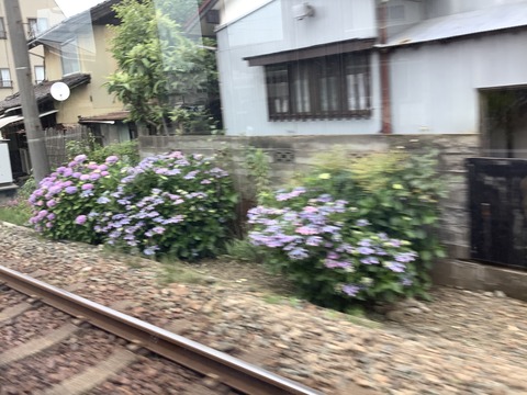 F690C215-FF40-40C2-85F9-367E23667F41