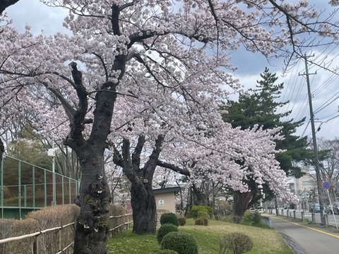 230503_29