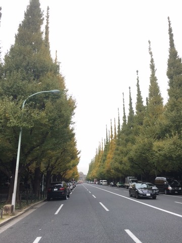 161114_jinguu