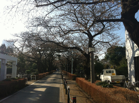 １３０３１９　青山墓地