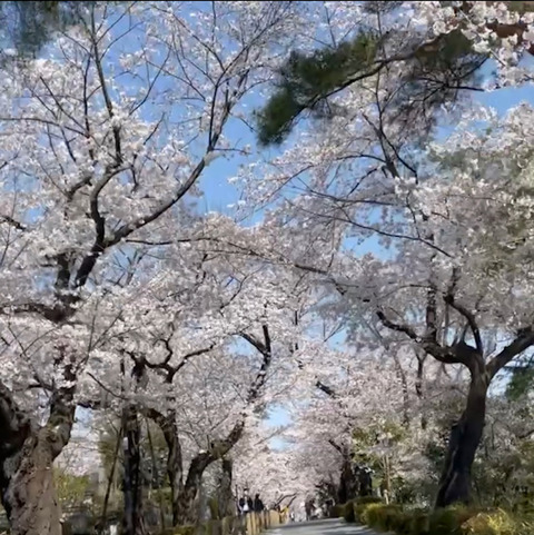 210327_573