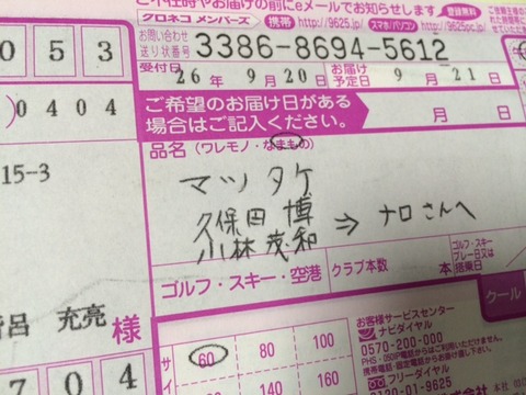 140923 マツタケ2