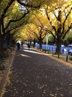 131129 枯れ葉2