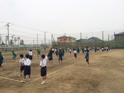 150511 松林中