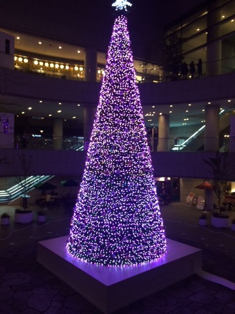 141120 チキン16