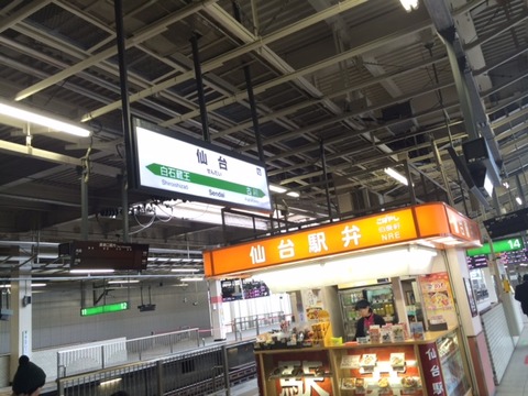 １５１１１５　東北小学生指導者講習会４４