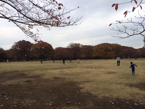 141126 代々木公園
