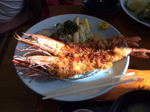 141125 伊豆高原