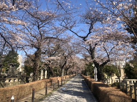 075B11A4-7A2D-4D37-8D49-86CDABD530C8