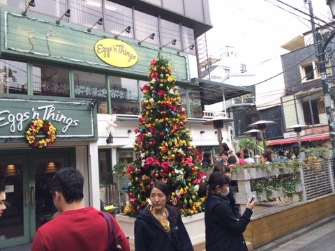 141125 晩秋ウォーク20