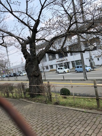180410_91