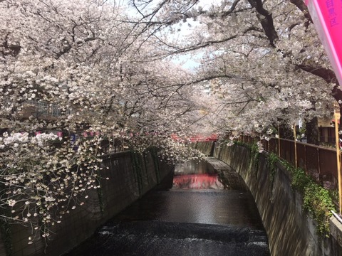 170411_9