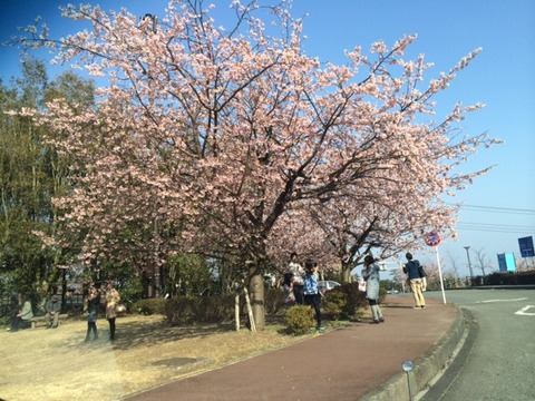 140317 リゾートキャンプ4