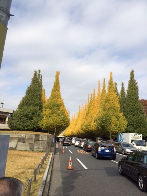 141125 晩秋ウォーク8