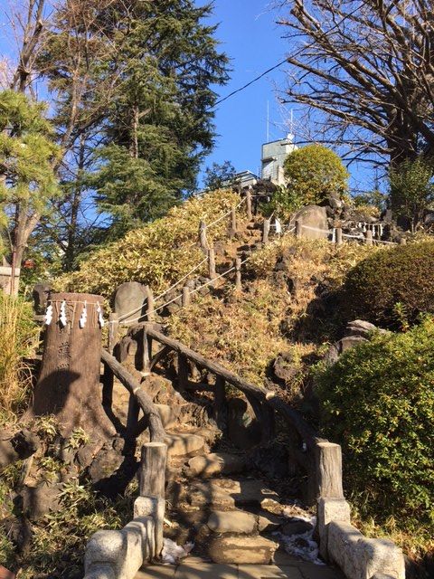 160121 散歩45
