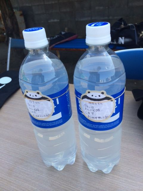151015 松林3