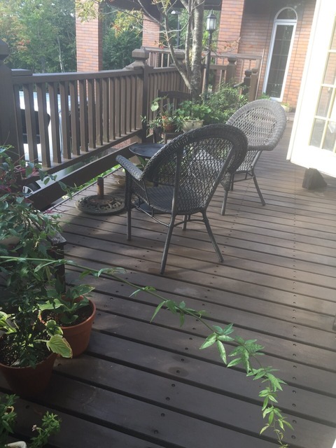 １５０９１７　シャローム１