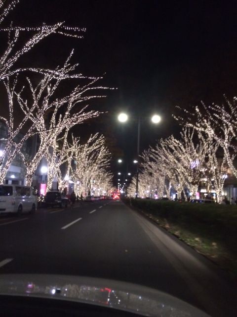 131205 イルミネーション