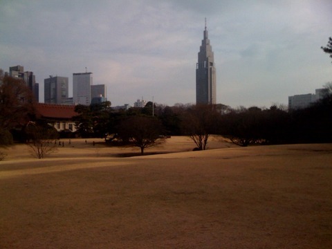 散歩 明治神宮 2011 1.20