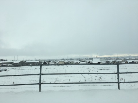 170116_ikeda13