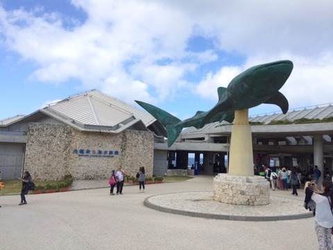 １４１１１０９　石垣１３１