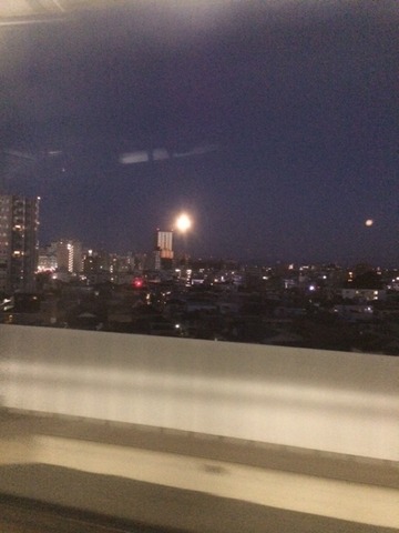 1411109 石垣124