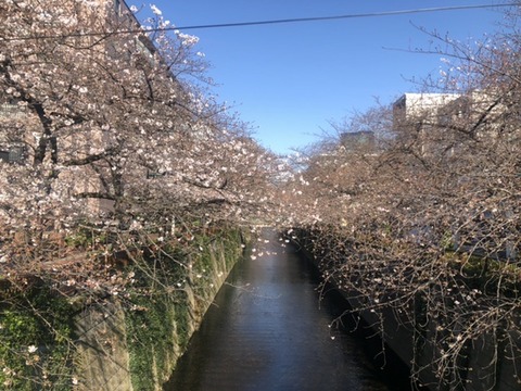 D5F98848-23B5-4956-919E-7C7A51CBFBA4