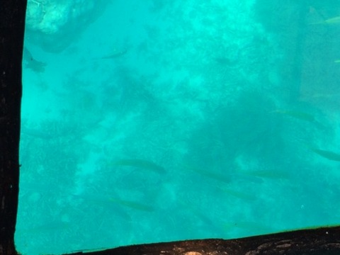 １４１１１０　石垣６