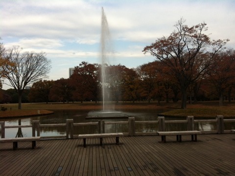 １２１１２８　代々木公園