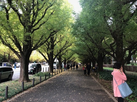 181114_9