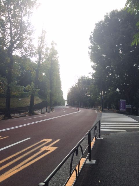 151022 散歩34