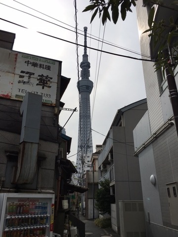 160317 下町散歩15