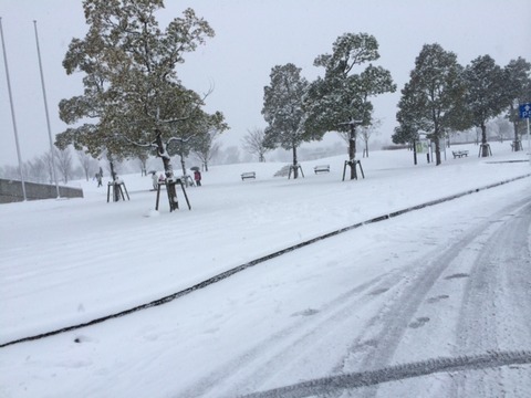 140209 ミズノカップ2