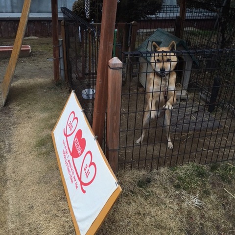 １６０２１６　ロック４