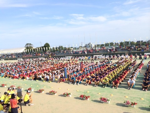 140801 インターハイ81