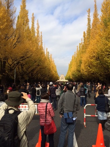 141125 晩秋ウォーク4