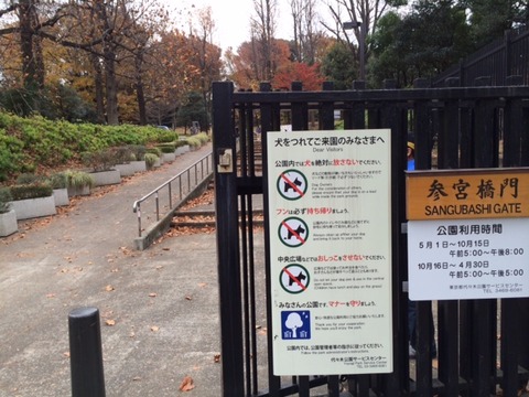 141125 晩秋ウォーク36